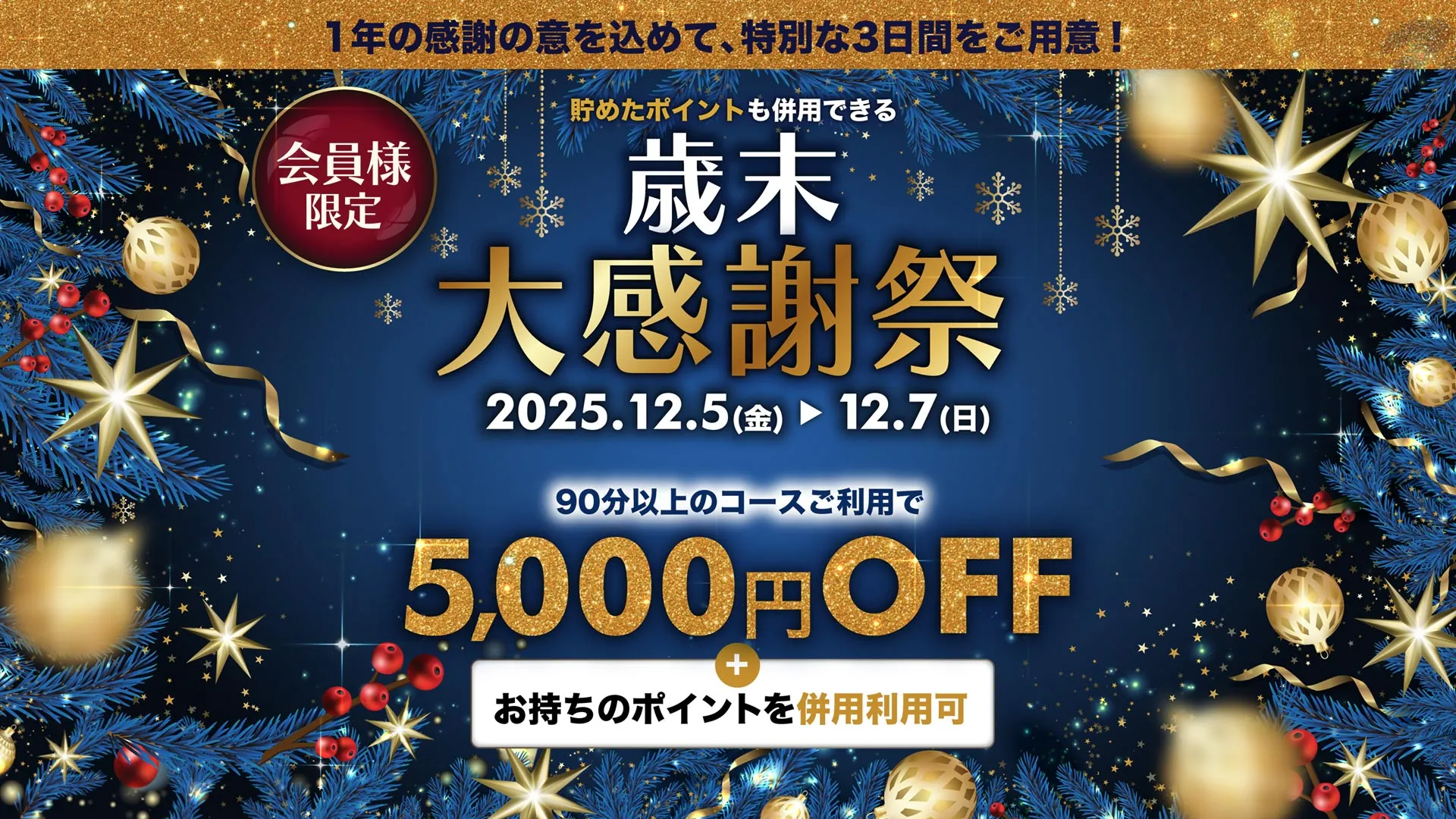 嗜み歳末大感謝祭!貯めたポイントも併用できる特別な3日間!